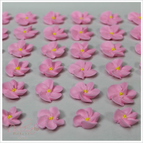 Cherry_Blossom_Borde